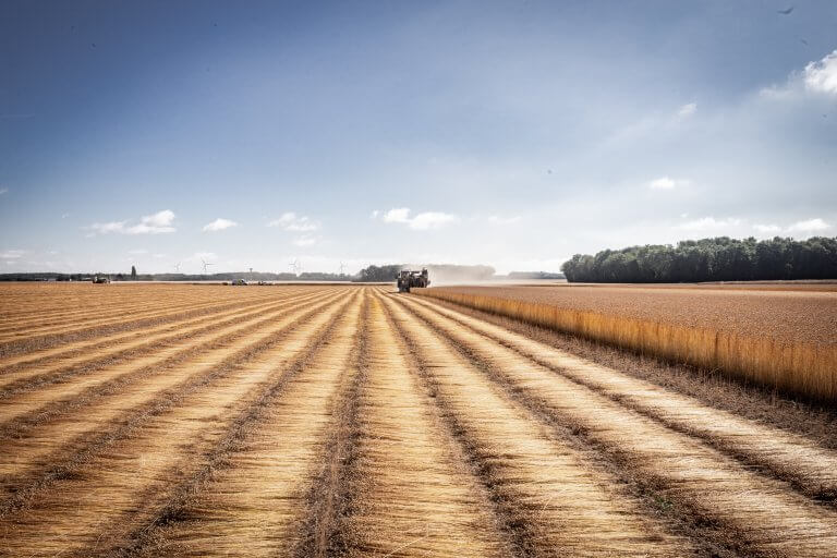 AdobeStock 465059619